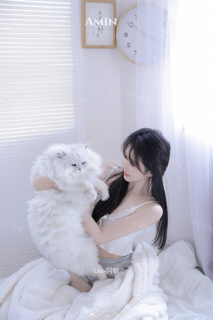 六六影视